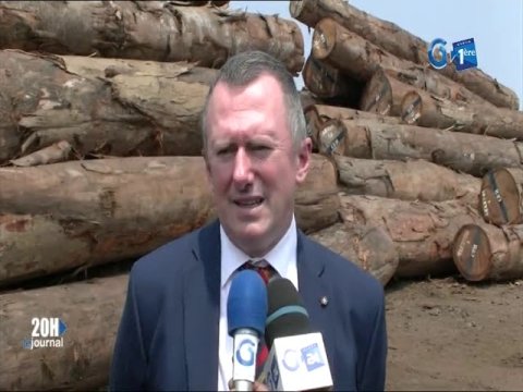 Impossible de lire la video